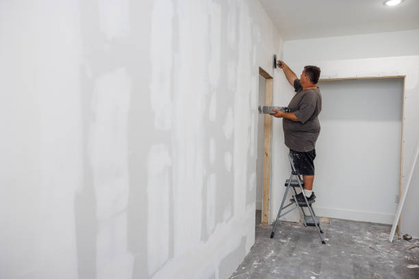 Ardmore, TN Mold Removal Company