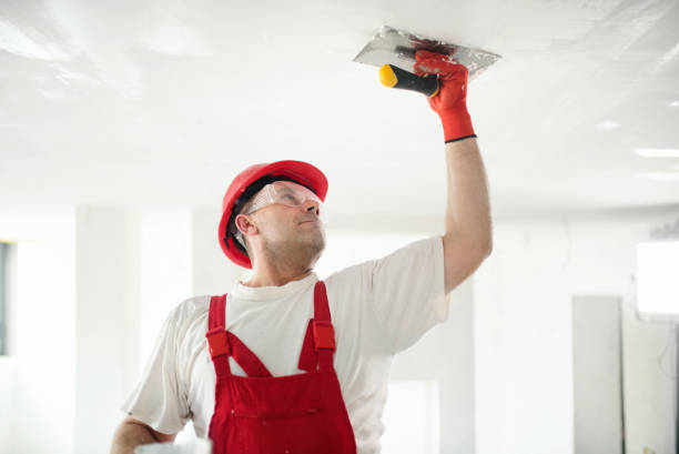 Best Industrial Mold Remediation  in Ardmore, TN