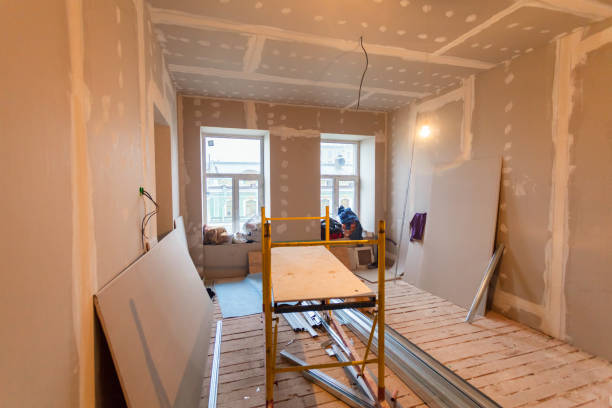 Best Basement Mold Removal  in Ardmore, TN